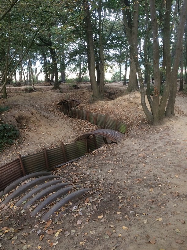 Trenches Meandering Through Sanctuary Wood (Hill 62)